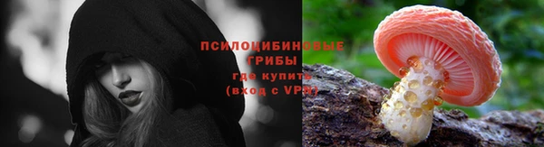 прущий лед Аркадак