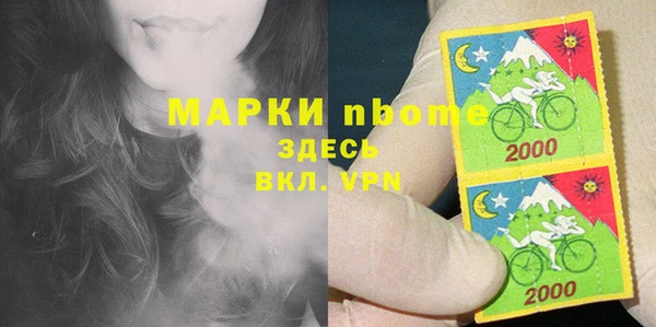 сатива Арсеньев