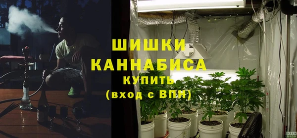 сатива Арсеньев