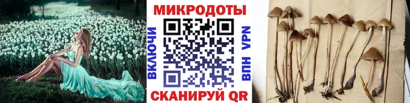сайты даркнета формула  наркошоп  Пролетарск  Галлюциногенные грибы мицелий 